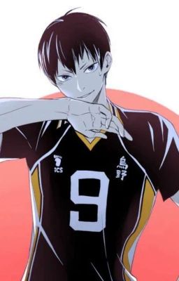 История двух волейболистов: Воссоединение. (haikyuu) [Завершён] 