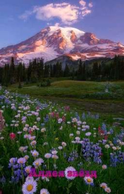 Аллея звёзд