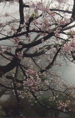 «расстояние»