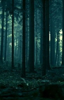 Темный Лес