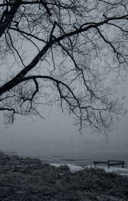 лунной тишины разлука