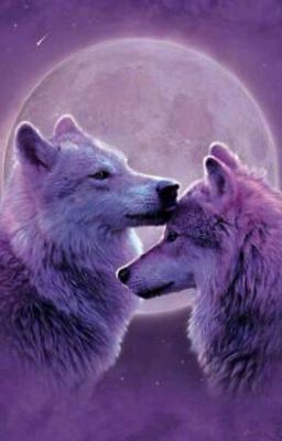 Ты все равно будешь моей,  Сучка