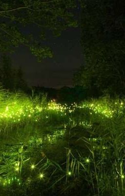 Я твой враг