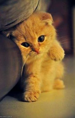 моя новая жизнь, она не такая как у всех....