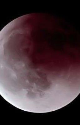 Волки влюбляются только один раз....[P.M]