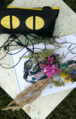 Сборник Стихов