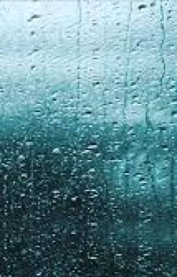 Канонады мыслей