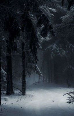 Новогоднее чудо или приключения лесничего