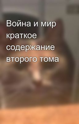Война и мир краткое содержание второго тома