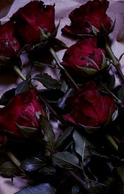 Месть и любовь🥀