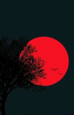 𑁍𝙉𝙤 𝙉𝙤𝙩 𝙏𝙤𝙙𝙖𝙮𑁍