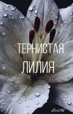 Тернистая Лилия