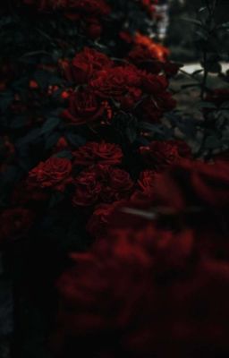 Сатана В Хогвартсе 