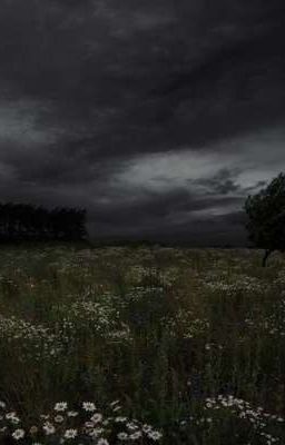 Враги или Друзья?