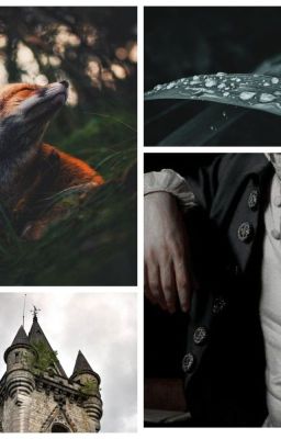 Сказание о потерянном лесе