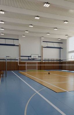 Волейбольная секция 