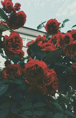 la pensée. кусочек эстетики.