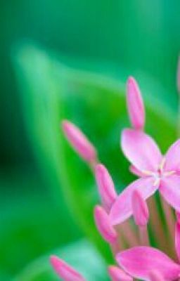 Повседневная жизнь 