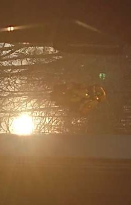 ✨моя Жизнь ✨