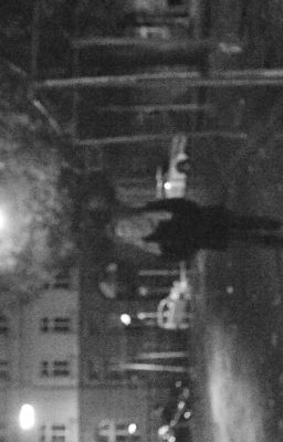 Вечер. Вино. Отсутствие тебя.