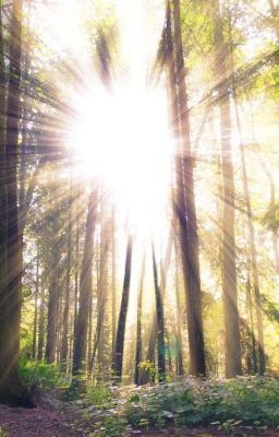 Под светом солнца