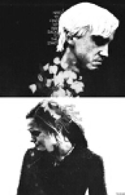 My December (драмиона)