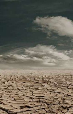 Путь сквозь призму Созерцателя