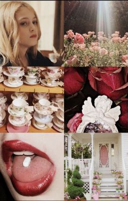 Заросли барбариса