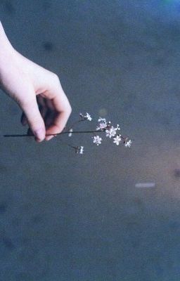 Больше ничего не будет