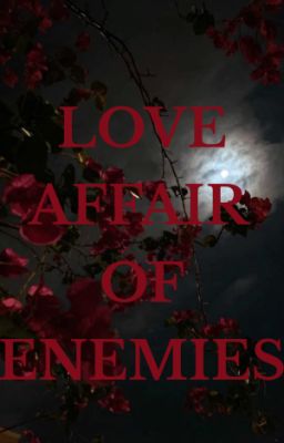 Любовный роман врагов