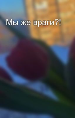 Мы же враги?! 