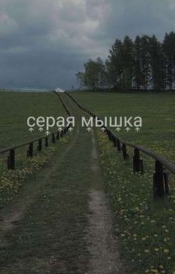   серая мышка 