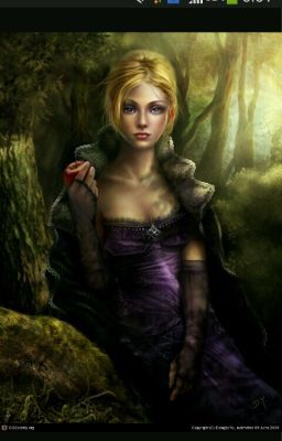 Высшая правовая академия магии.Тайны высшего света.