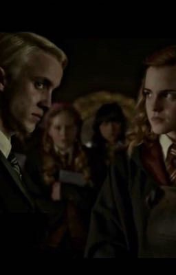 Ответы на вопросы