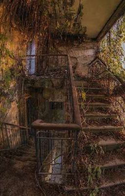 Истории Маленького Городка