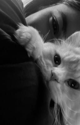 младшая турбо🫆