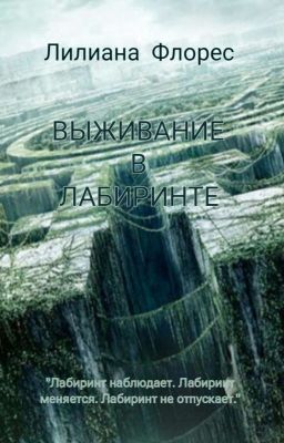 Паутина лабиринта