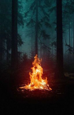 Тайны тёмного леса