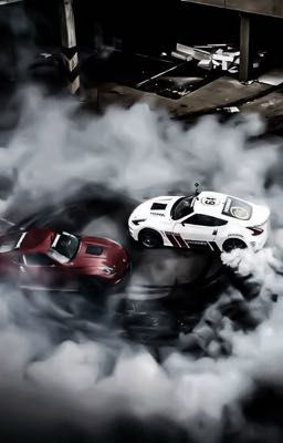 хочется верить,но она всего лишь кошка