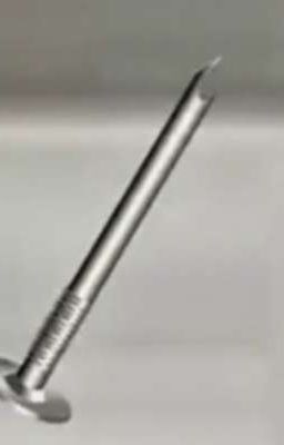 По мотивам: Те самые подружки в фильме ужасов