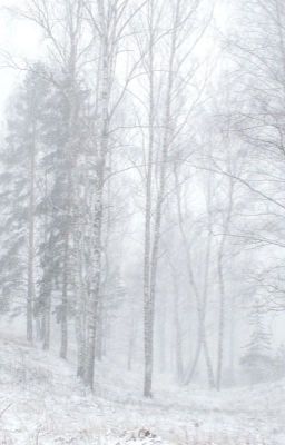 Парни бывают краше цветов