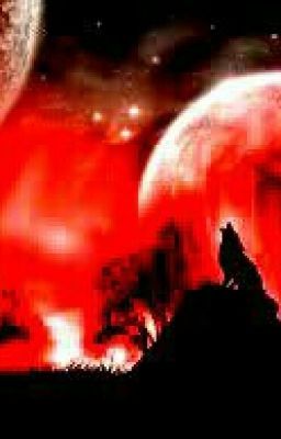 Свет Алой Луны.