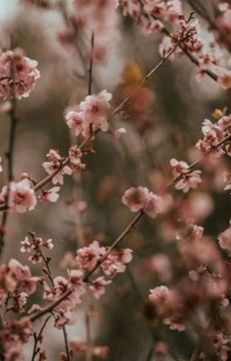 Иллюзия жизни