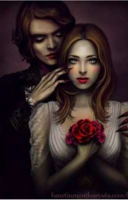 Провидица (СИ) 