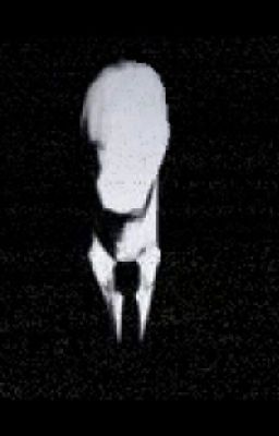 Тайны леса в центре города