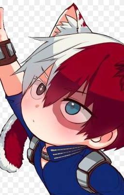 ты мои котик 