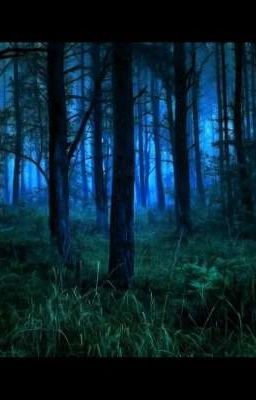 В ночьной тиши