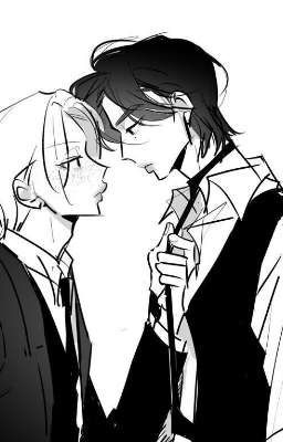 Любимый хорёк