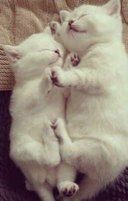 Мир для нас