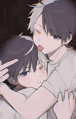 Кошачьи приключения/ Ветролом